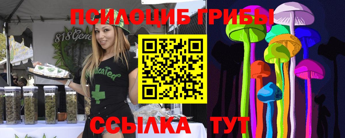 Бутурлиновка  Псилоцибиновые грибы Cubensis  Вход с VPN 
