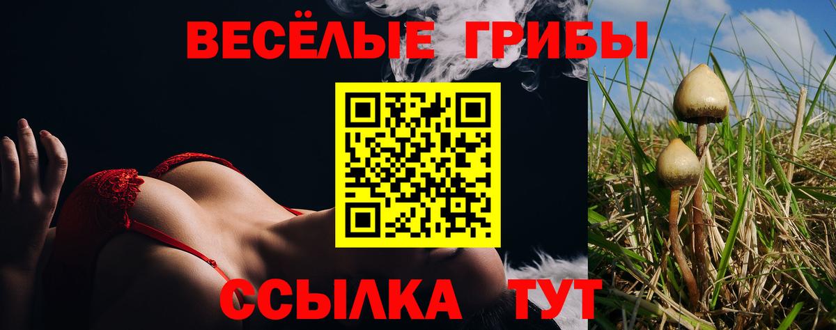 Псилоцибиновые грибы мухоморы Бутурлиновка